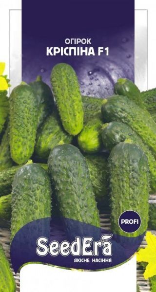 Семена Seedera огурец Криспина F1 10 шт.