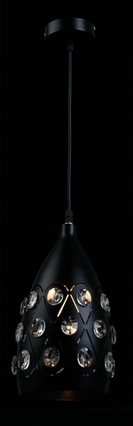 Светильник подвесной Focus Light 1x60 Вт E27 черный матовый P6805/1 