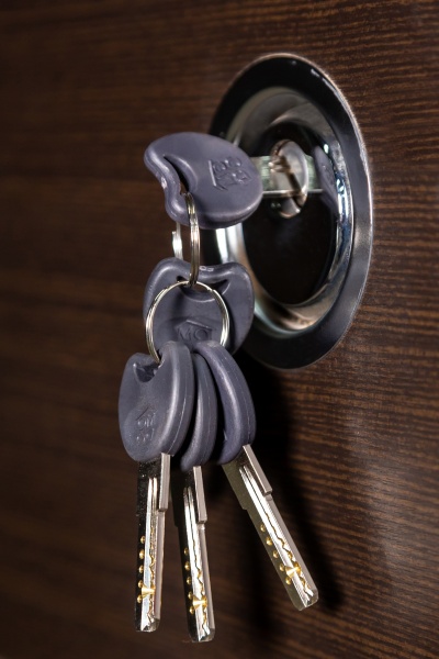 Дверь входная Revolut Doors В-413 модель 163 венге горизонт темный / дуб пломбир горизонт 2040x940 мм левая