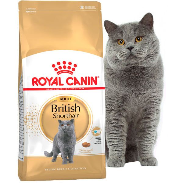 Корм Royal Canin British Shorthair Adult 2 кг