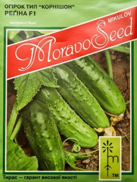 Семена MoravoSeeds огурец Регина 10г