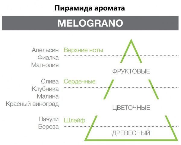 Аромадиффузор для дома Hypno Casa Melograno 200 мл (парфюм + палочки) 