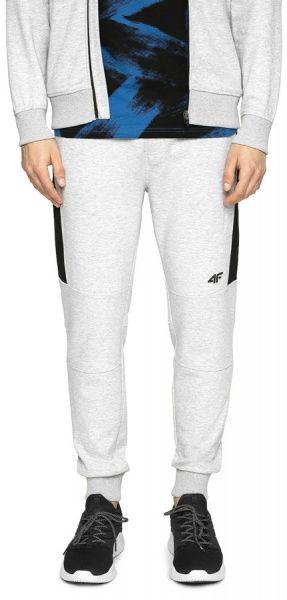 Брюки 4F H4L20-SPMD002-27M р. M светло-серый
