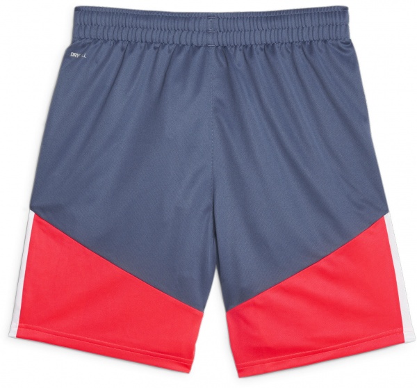 Шорты Puma individualCUP Shorts 65848553 р. 2XL серый