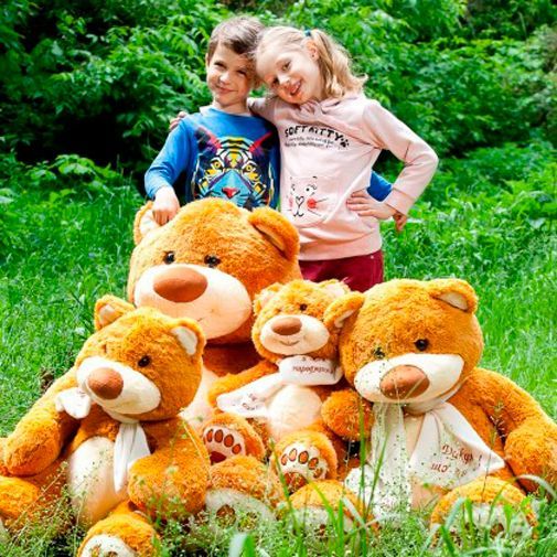 Мягкая игрушка Тигрес Мишка Мемедик (бурый) 30 см