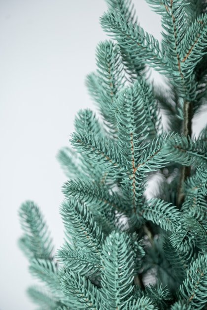 Штучна ялинка Віденська 1,10 м блакитний