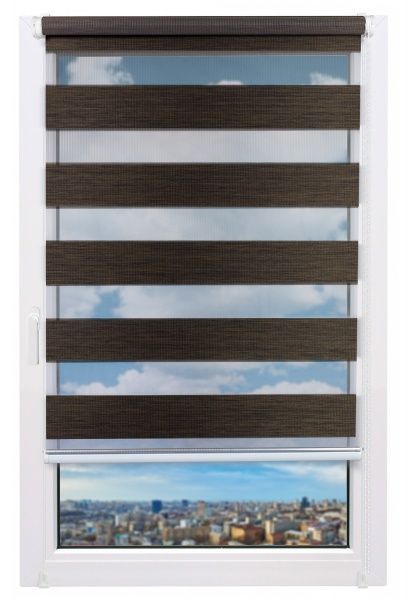 Ролета день-ночь Delfa Натур 57x160 см шоколадная 