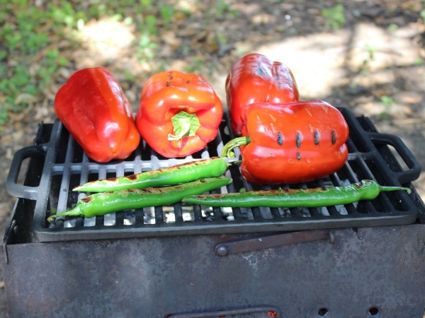 Решетка-гриль Brizoll двухсторонняя 355х255 мм