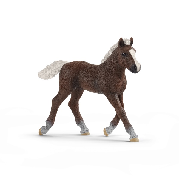 Игровая фигурка Schleich Шварцвальдский жеребенок арт.13899 6688020 
