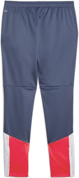 Брюки Puma INDIVIDUALCUP TRAINING PANTS 65848753 р. XL серый
