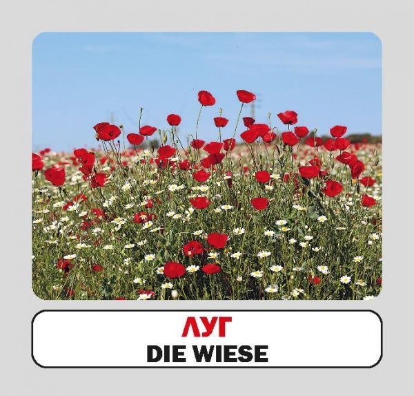 Книга «Навчальний посібник. Пори року. нім-укр»