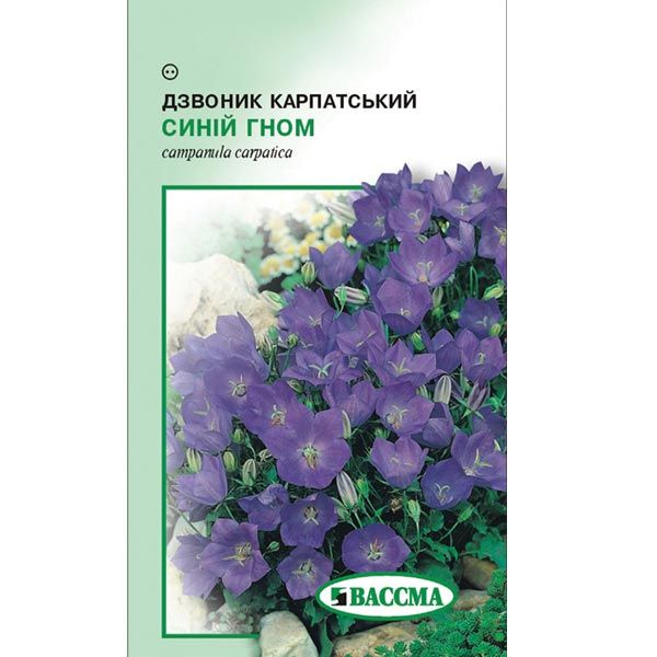 Семена Цветы Колокольчик карпатский Синий гном 0.1 г