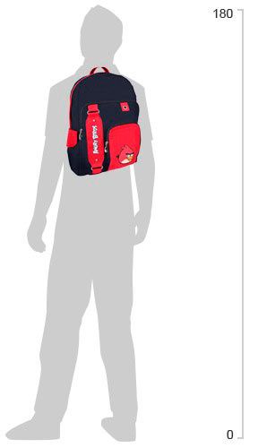 Рюкзак шкільний Cool For School Angry Birds AB03814