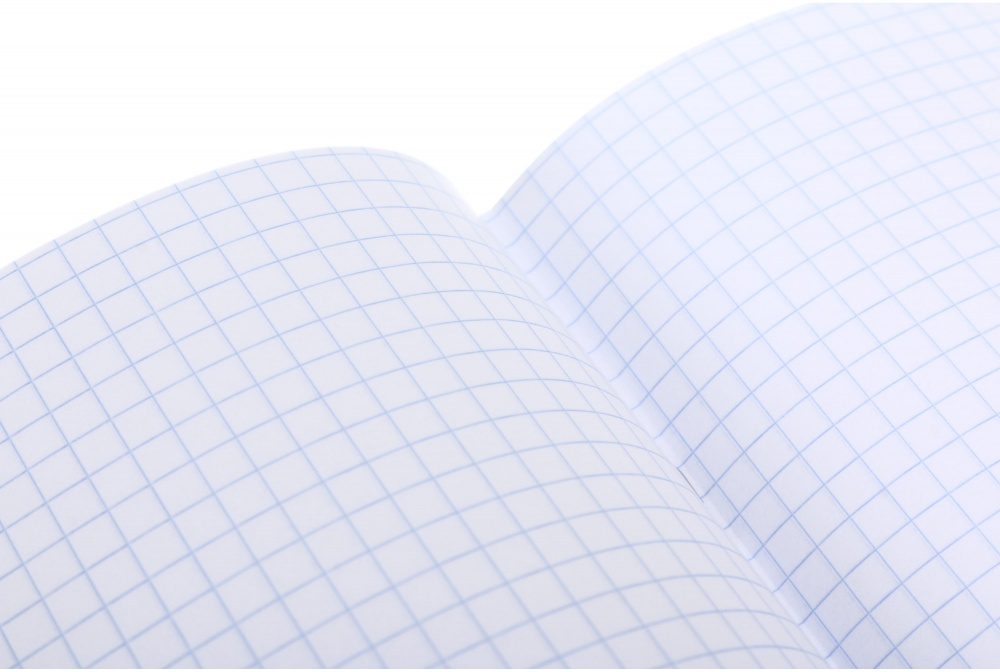 Тетрадь 12 листов в клеточку (2252547034019) Nota Bene