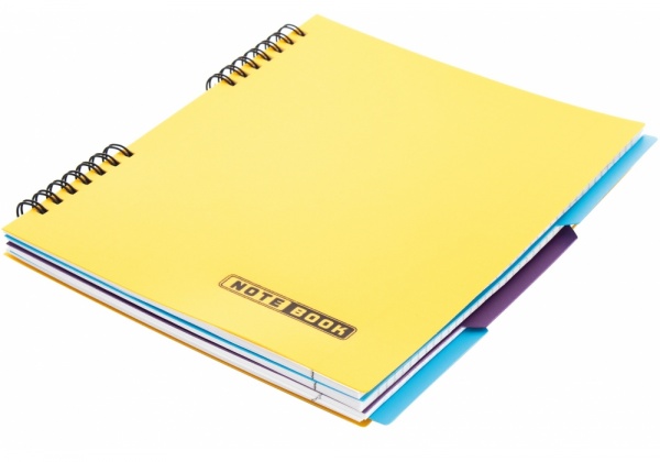 Блокнот евроспираль 120 листов E20225 Economix