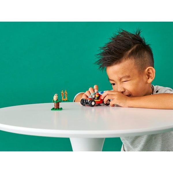 Конструктор LEGO City Пожар в лесу 60247