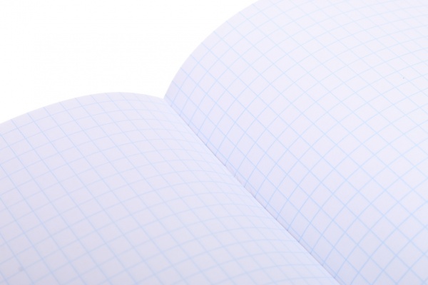 Тетрадь школьная Лайтгрин 96 листов в клеточку