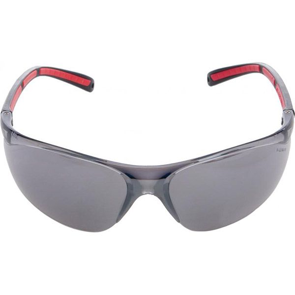 Очки защитные Reis OO-TEKSAS