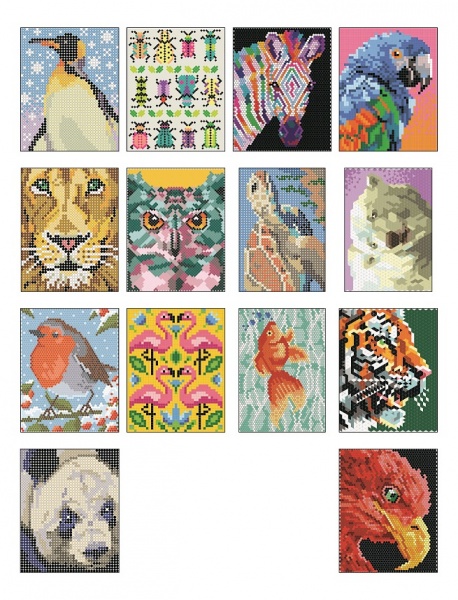 Книга-розмальовка «Кольоровий квест. ЗооДива» 978-617-8023-01-0