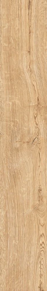 Плитка Allore Group Armario Honey F PR R Mat 19,8x120 см