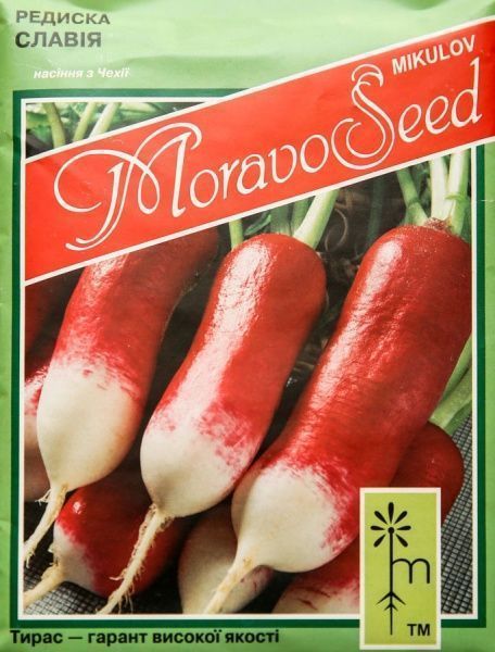 Семена MoravoSeeds редис Славия 20г