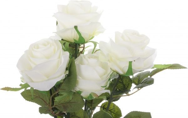 Букет роз 7 цветков белый