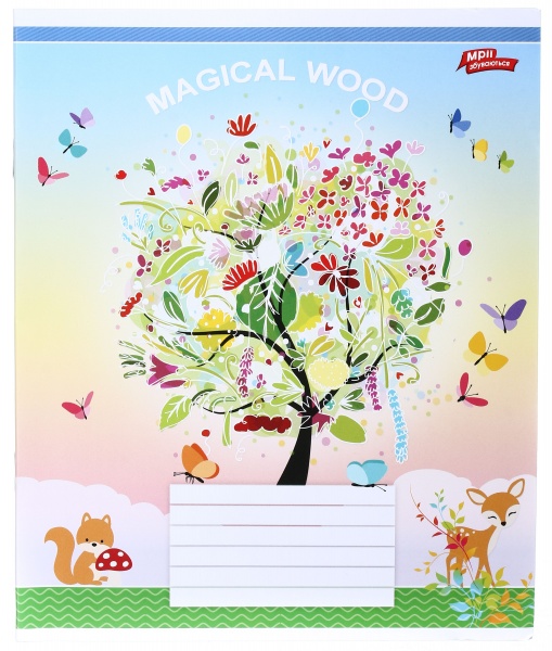 Тетрадь школьная 18 листов в клеточку в ассортименте Мечты сбываются