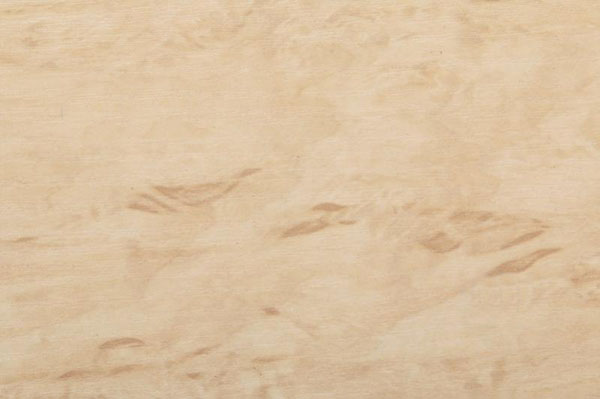 ДСП ламінована SwissPan 2440х1830х16 мм береза піскова