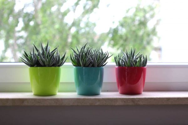 Горщик Lamela Магнолія 360 круглий смарагдовий 