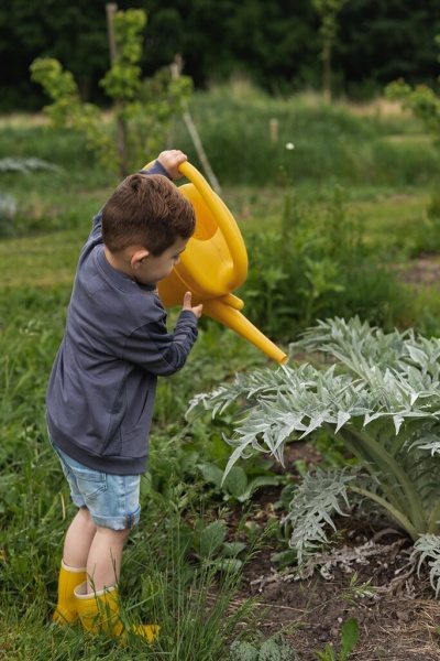 Кардиган для мальчика Koko Noko р.140 серый T46878-37 