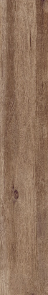 Плитка Allore Group Tahoe Gold F PR R Mat 19,8х120 см