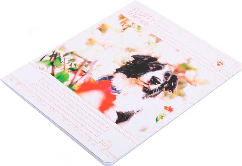 Тетрадь школьная 24 листа в клетку УФ-лак в ассортименте