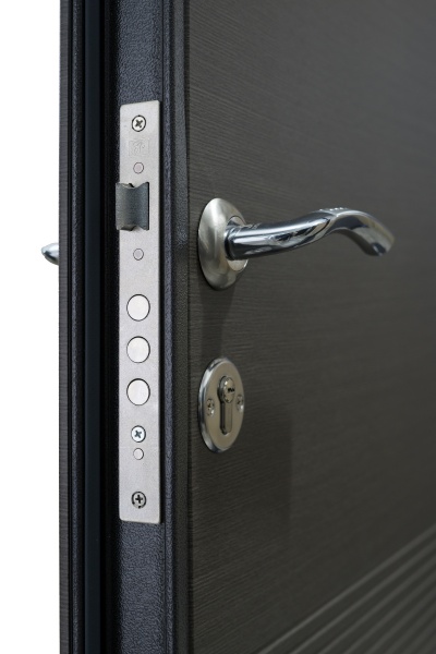 Дверь входная Министерство дверей Оптима венге серый горизонт 2050x960 мм левая