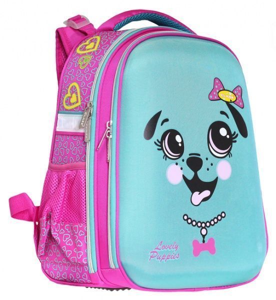 Ранець шкільний CLASS SchoolCase Черепашка Puppy 39x28x21 см 9902