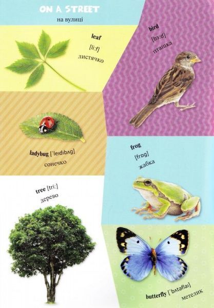 Книга «Світ навколо нас» 978-617-690-201-0