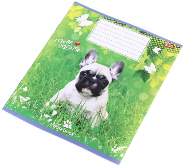 Тетрадь школьная 18 листов в линейку в ассортименте Мечты сбываются