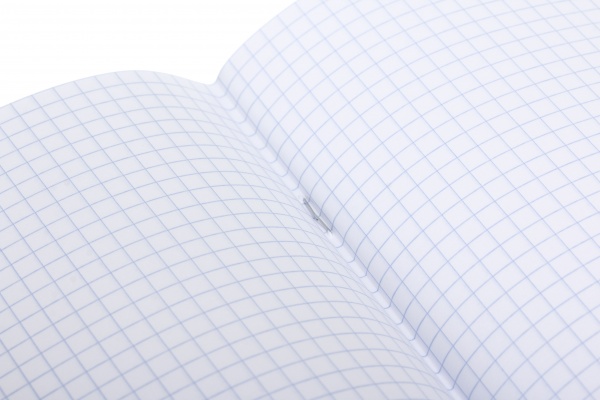 Тетрадь школьная с глитером 12 листов в клеточку в ассортименте Мечты сбываются