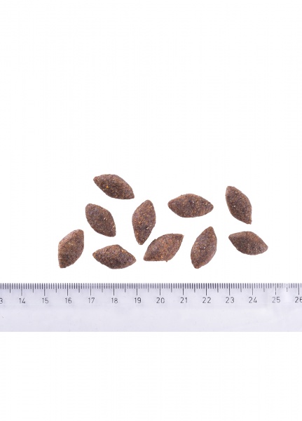 Корм сухий для усіх порід Brit Care Sustainable Activity з куркою 3 кг