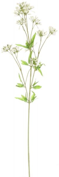 Гілочка декоративна Манжетка м'яка 80 см зелена