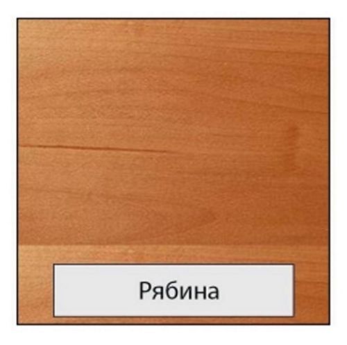 Лазурь Alpina Lasur-Gel рябина шелковистый мат 2,5 л