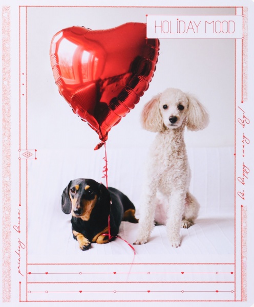 Тетрадь школьная Tadward коса