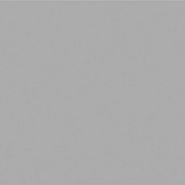 Шпалери вінілові гарячого тиснення Bravo 81126BR19 1,06x10,05 м 