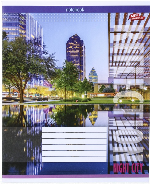 Тетрадь школьная 18 листов в клеточку в ассортименте Мечты сбываются