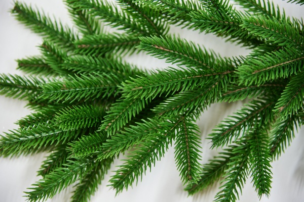 Гілочка декоративна 50 см 8753 