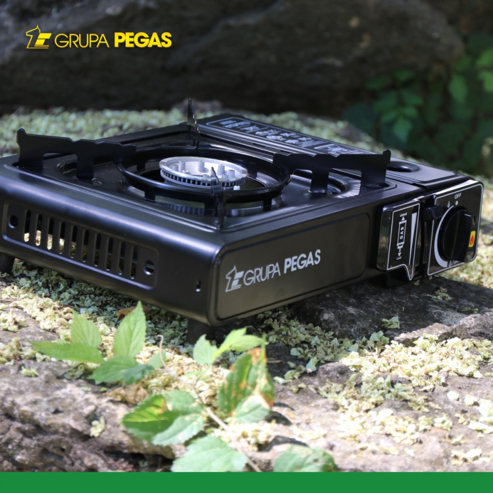 Плитка газовая Pegas Grupa пьезо 1900 Вт 1961