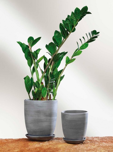 Горщик керамічний Santino Nova-2 круглий 2 л бежевий (DP-16-16-J-10-00) 