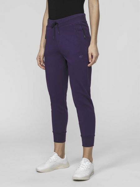 Штани 4F D4L21-SPDD210-50S р. S фіолетовий