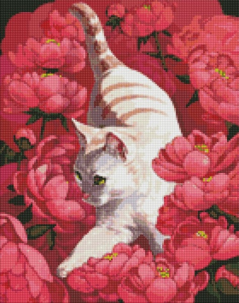 Алмазна мозаїка Котик у півоніях Ідейка 