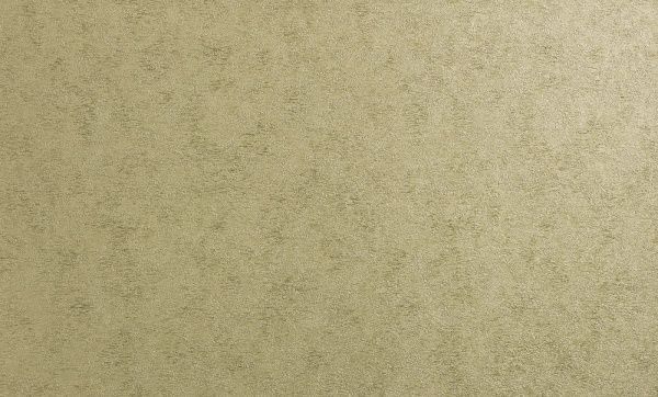 Шпалери вінілові на флізеліновій основі Bravo 81192BR38 1,06x10,05 м 