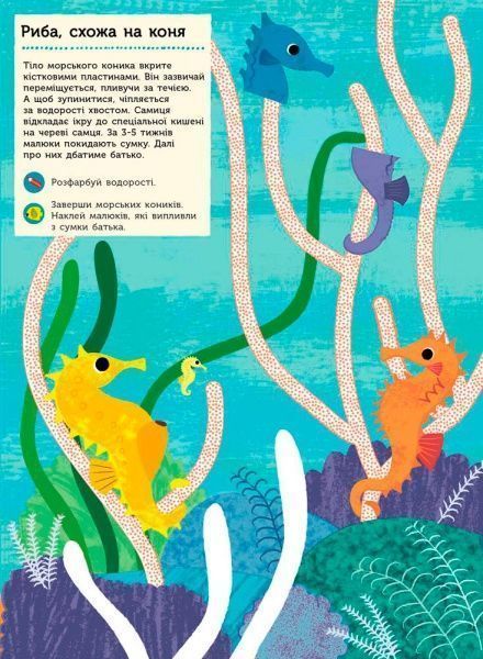 Книга «Моя книга природи : В океані (у)»